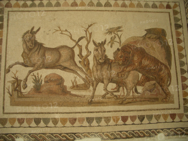 Mosaic, El Jem Museum, El Djem, Tunisia, 2009. Creator: Amanda Waite.