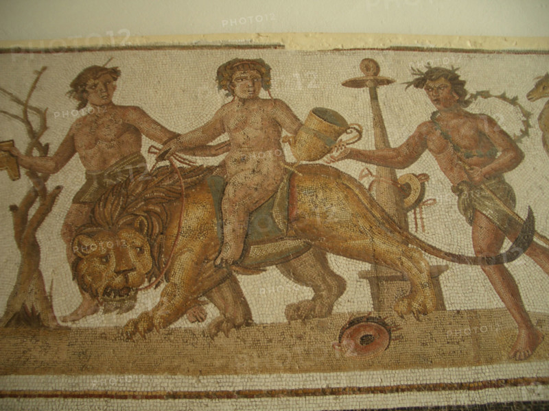 Mosaic, El Jem Museum, El Djem, Tunisia, 2009. Creator: Amanda Waite.
