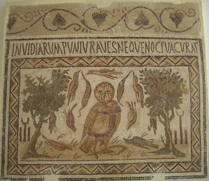 Mosaic, El Jem Museum, El Djem, Tunisia, 2009. Creator: Amanda Waite.