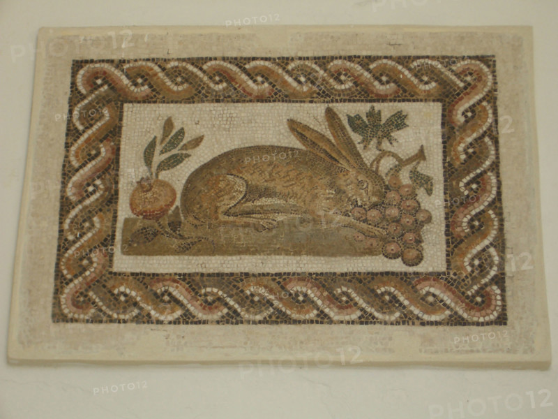 Mosaic, El Jem Museum, El Djem, Tunisia, 2009. Creator: Amanda Waite.