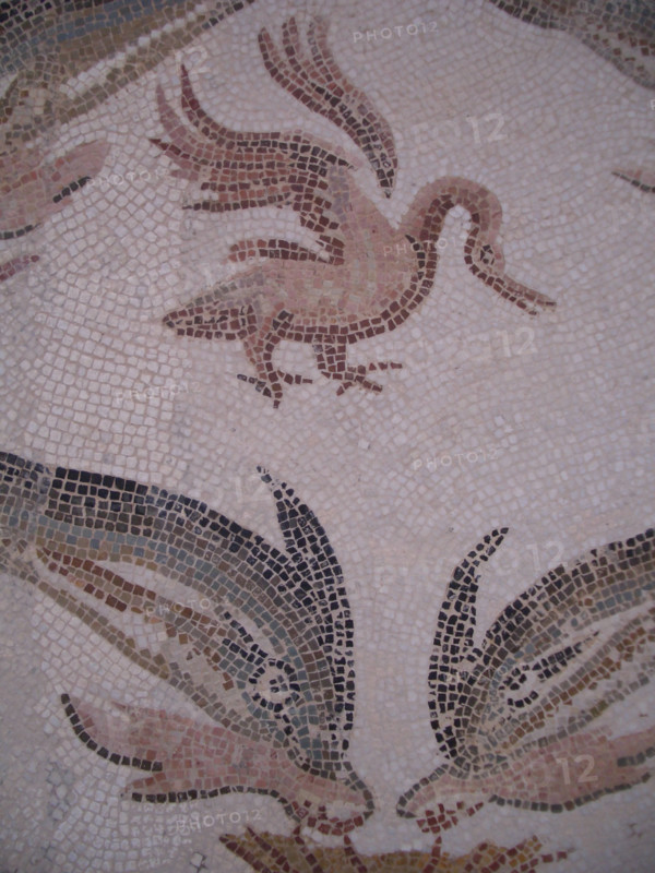 Mosaic, El Jem Museum, El Djem, Tunisia, 2009. Creator: Amanda Waite.