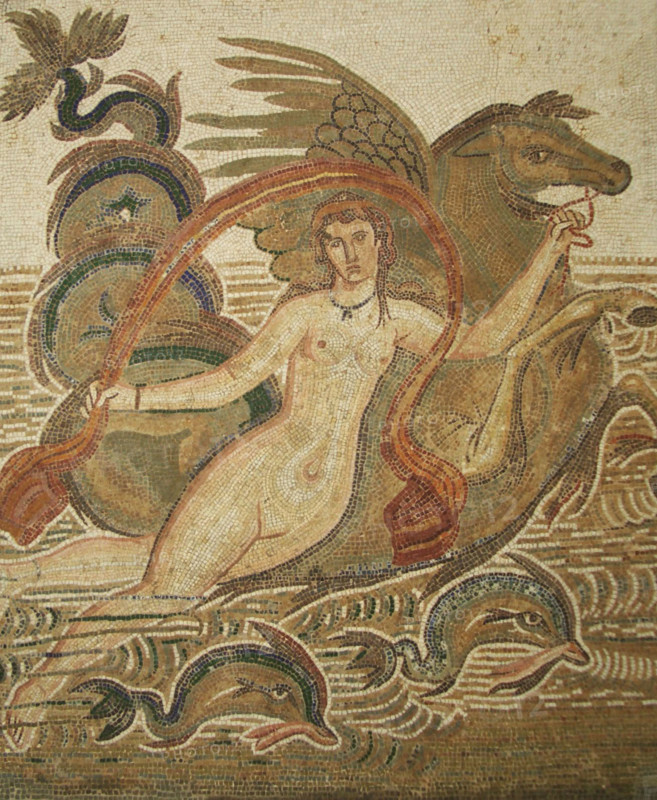 Mosaic, El Jem Museum, El Djem, Tunisia, 2009. Creator: Amanda Waite.