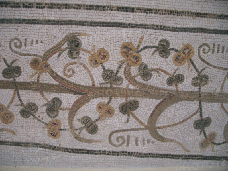 Mosaic, El Jem Museum, El Djem, Tunisia, 2009. Creator: Amanda Waite.