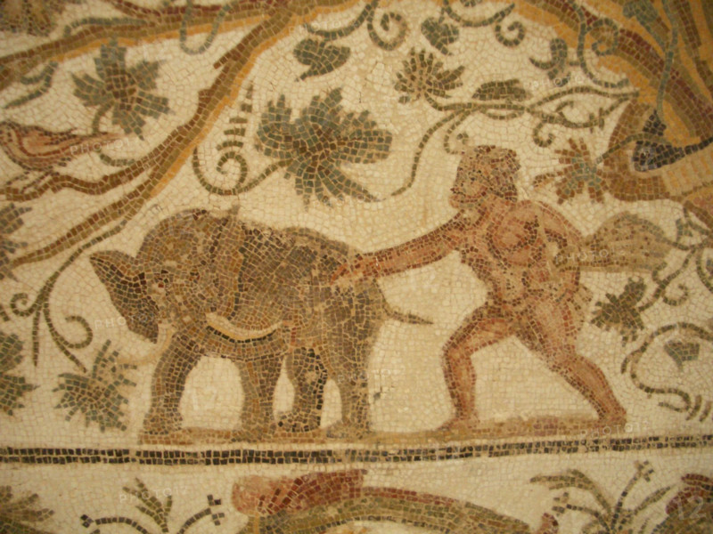 Mosaic, El Jem Museum, El Djem, Tunisia, 2009. Creator: Amanda Waite.