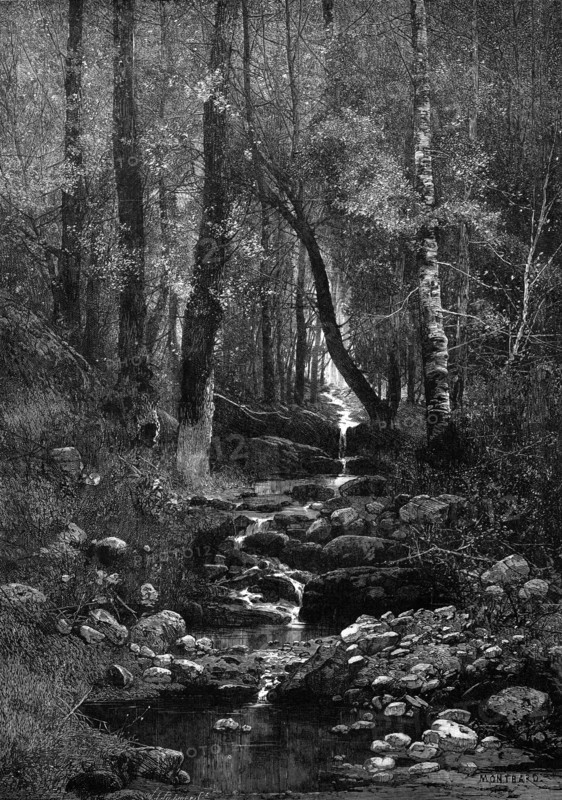 A Place for a Picnic, 1881. Creator: William James Palmer.