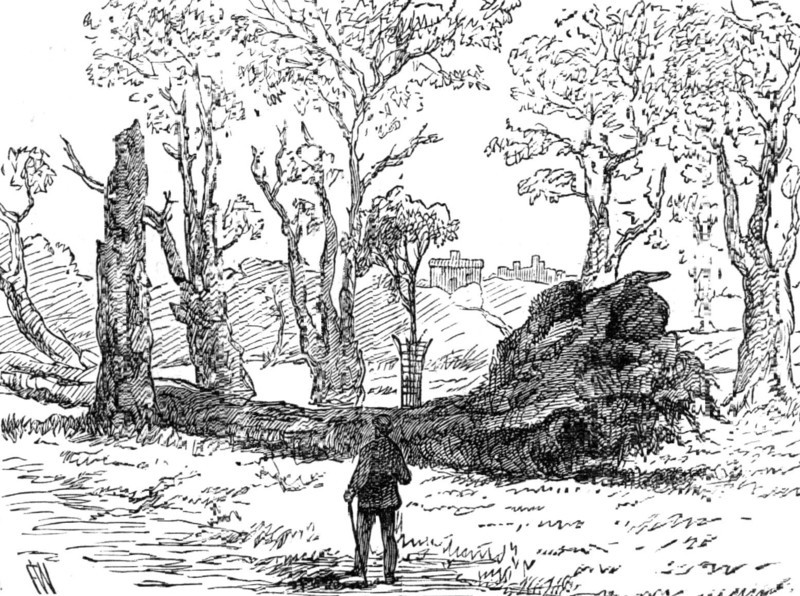 The Great Storm of Wind on Friday week: a tree uprooted near the bridge, Eton, 1881. Creator: Unknown.
