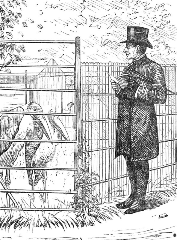Sketch of a picture in the Royal Academy Exhibition: An Episcopal Visitation, H. S. Marks R.A., 1881 Creator: Unknown.