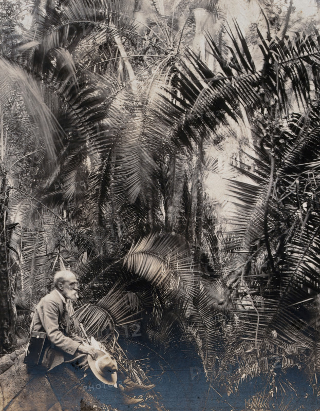 Zimbabwe: a member of the British Association sitting in a palm ravine, 1905. Creator: Geoffrey L Parsons.