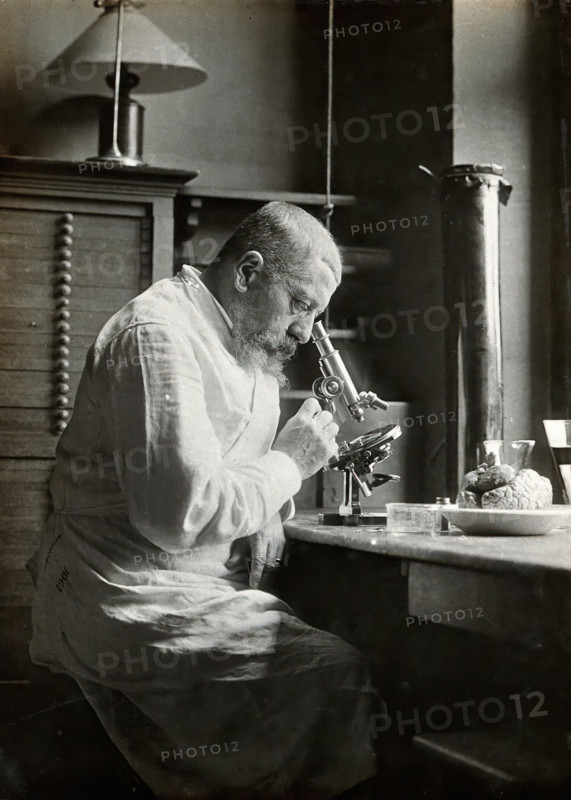 Joseph Jules Dejerine. Creator: Unknown.