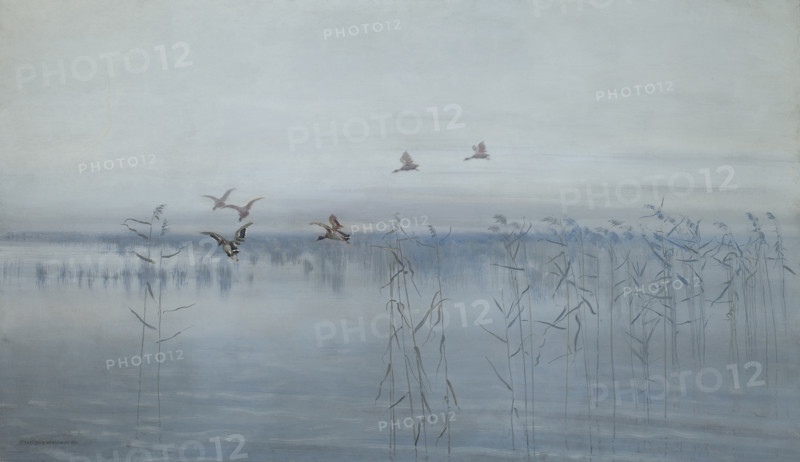 Ducks over Swamps, 1892. Creator: Stanislaw Maslowski.