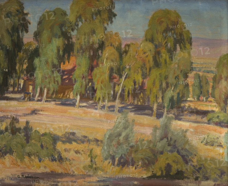 Eucalyptus Trees in Upper Galilee, 1926. Creator: Abraham Neuman.