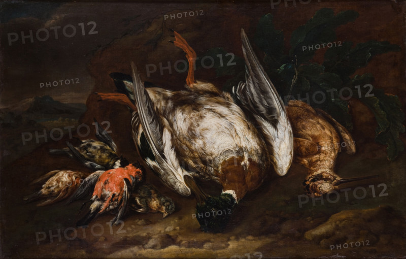 Slaughtered Birds, between 1663-1722. Creator: Bernaert de Bridt.
