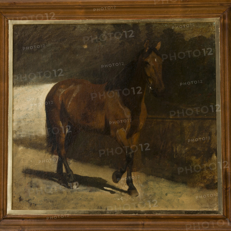 Study of a Chestnut Horse, c1872. Creator: Maksymilian Gierymski.