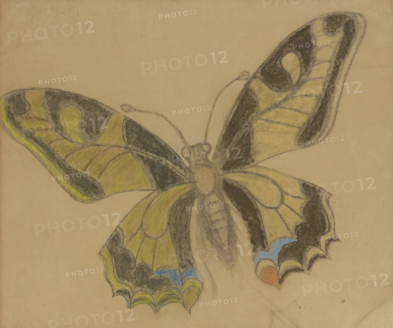 Butterfly (Old World Swallowtail), 1897-1898. Creator: Stanislaw Wyspianski.