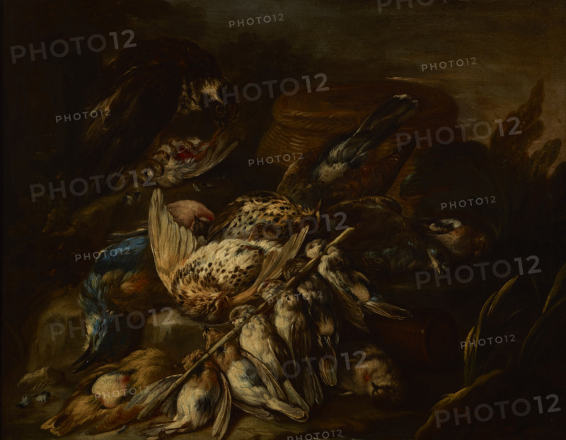 Still Life, around the mid-18th century. Creator: Baldassare de Caro.
