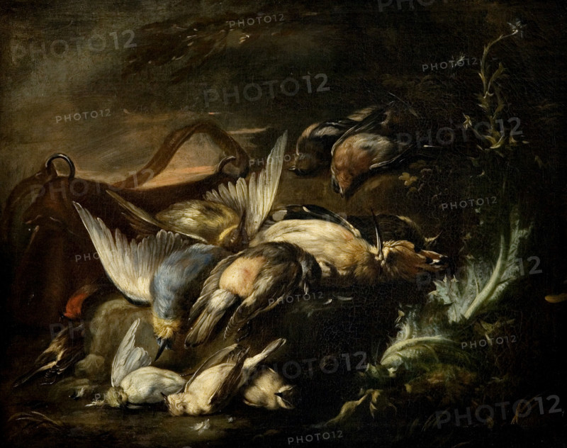 Still Life, 1st half of 18th century. Creator: Baldassare de Caro.