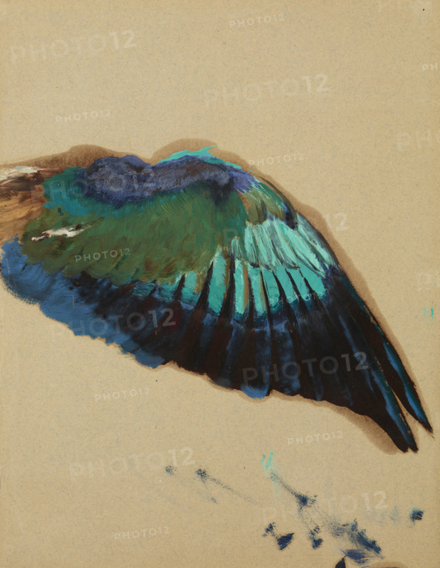 Study of a Wing-Study of a Fgure of "Inspiration" from the Curtain for the Municipal..., c1899. Creator: Henryk Siemiradzki.