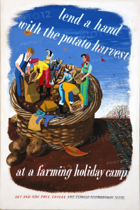 'Lend a hand with the potato harvest at a farming holiday camp...', WWII poster, between 1939 & 1946 Creator: Central Office of Information.