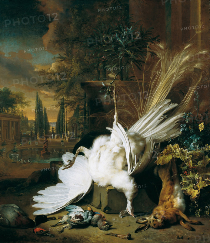 The white peacock, 1693. Creator: Weenix, Jan, the Younger (1642-1719).