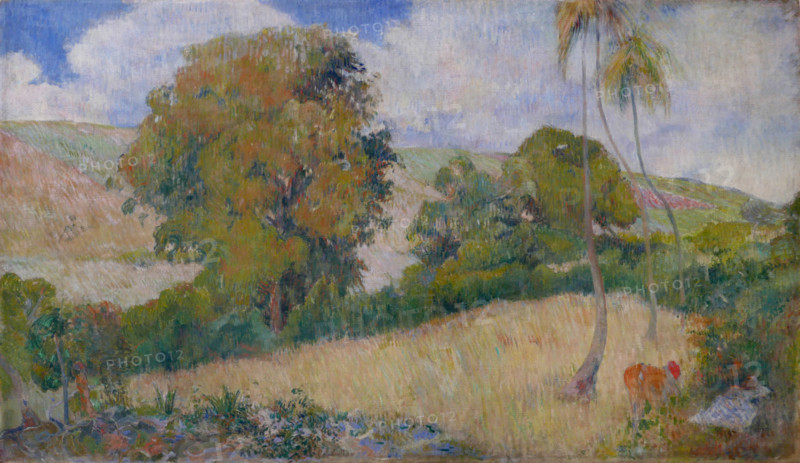 Meadow on Martinique, 1887. Creator: Gauguin, Paul Eugéne Henri (1848-1903).
