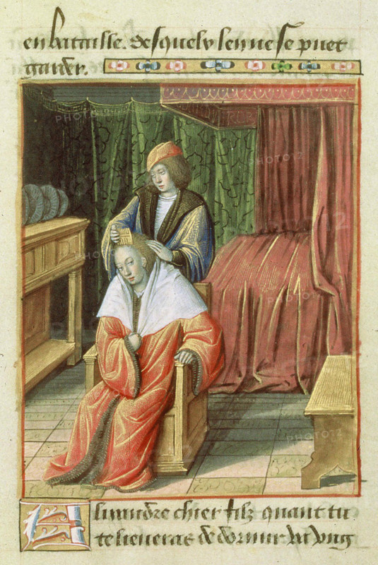 Miniature from Le Secret des secrets (Français 18145), 15th century. Creator: Anonymous master.