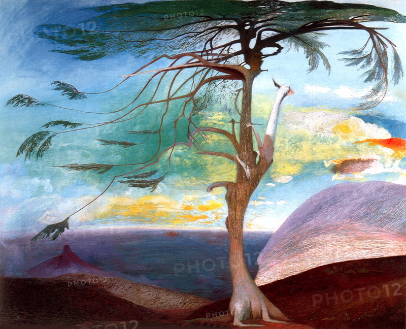 The Lonely Cedar, 1907. Creator: Kosztka Csontváry, Tivadar (1853-1919).
