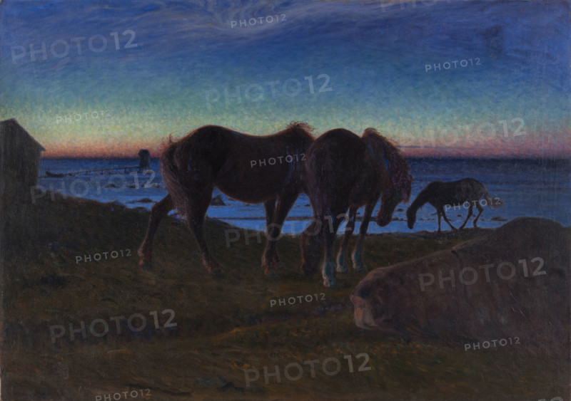Grazing by the Shore, 1900. Creator: Kreuger, Nils (1858-1930).