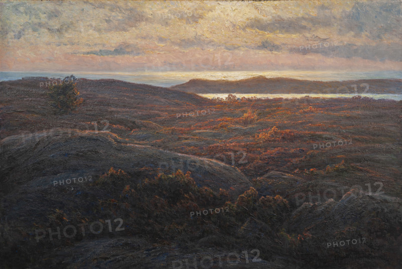 Sunlight, before 1912. Creator: Wahlström, Charlotte (1849-1924).