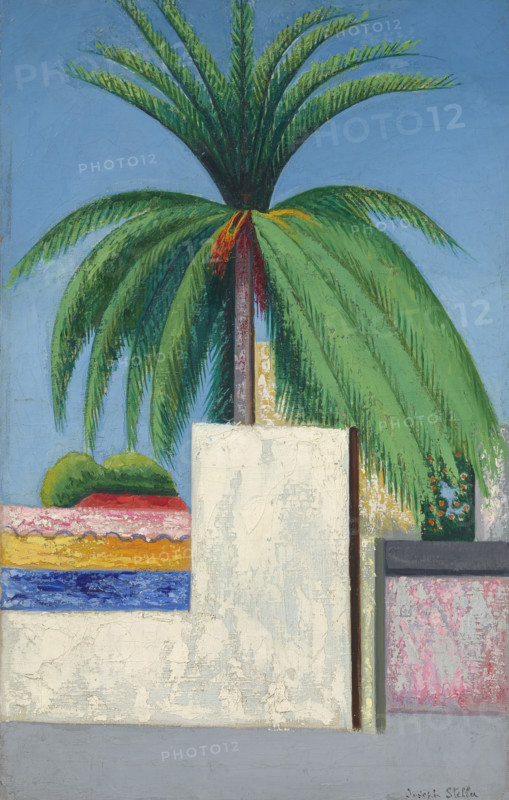 Palm Tree, c1930. Creator: Stella, Joseph (1877-1946).