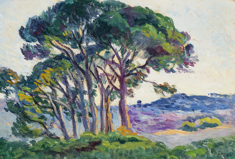 Pines at Canebiers, 1903. Creator: Luce, Maximilien (1858-1941).