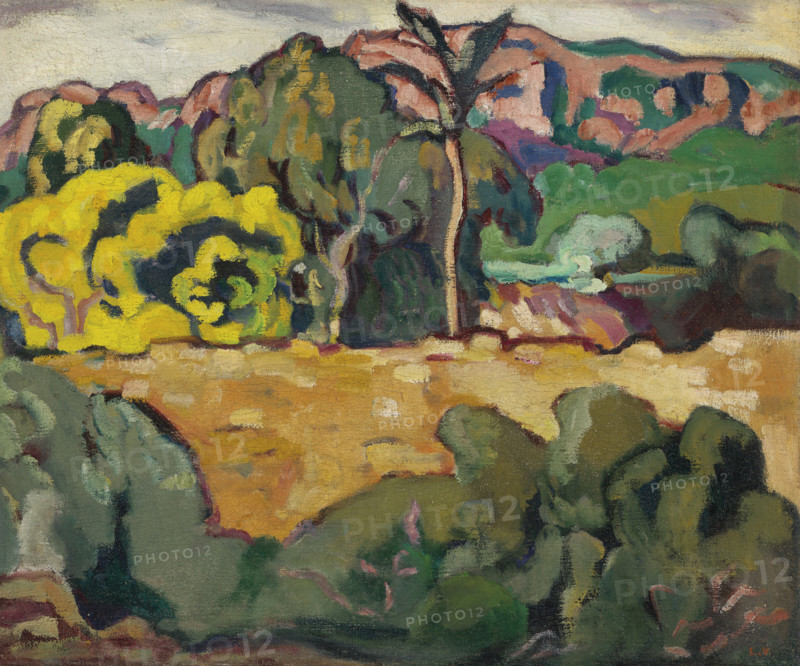 Southern landscape with palm tree , c1909. Creator: Valtat, Louis (1869-1952).