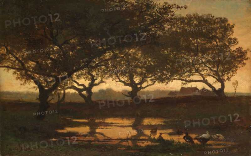 Woodland Pond at Sunset, c1862. Creator: Bilders, Gerard (1838-1865).