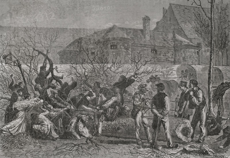 Franco-Prussian War (1870-1871): The besieged cutting down trees round Paris for firewood, 1871.  Creator: Auguste Trichon.
