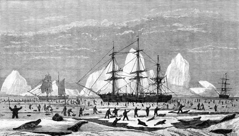The International Fisheries Exhibition: model to illustrate seal-hunting, Newfoundland Section, 1883 Creator: Unknown.