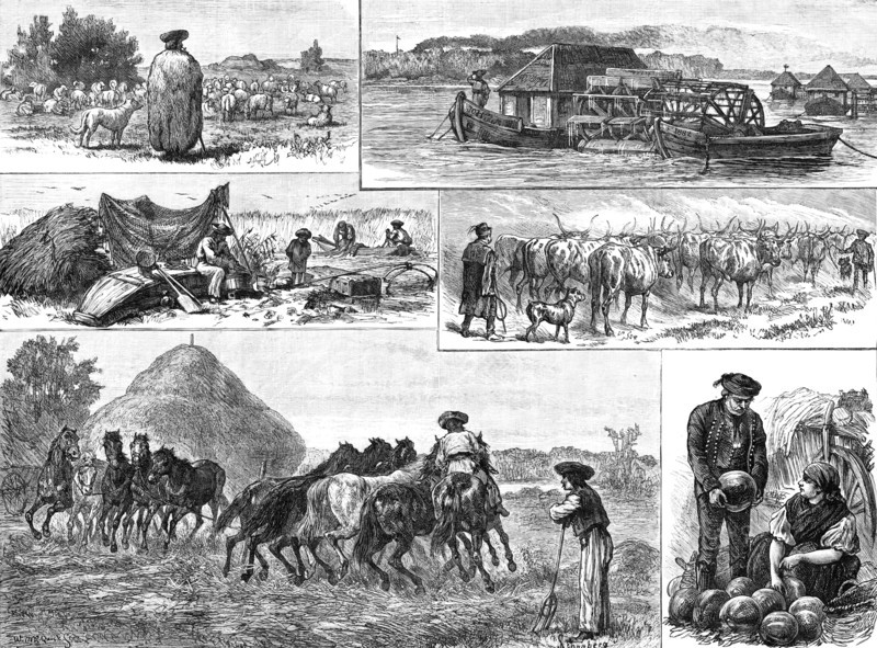 Sketches of Peasant Life in Hungary, 1883. Creator: William Michael Roberts Quick.