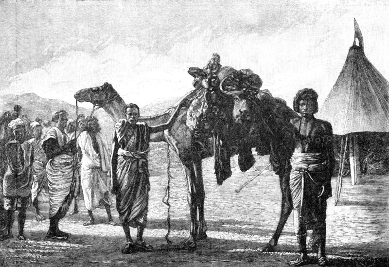 Illustrations of "The Wild Tribes of the Soudan", by F. L. James...: arrival of meat in camp, 1883. Creator: Unknown.