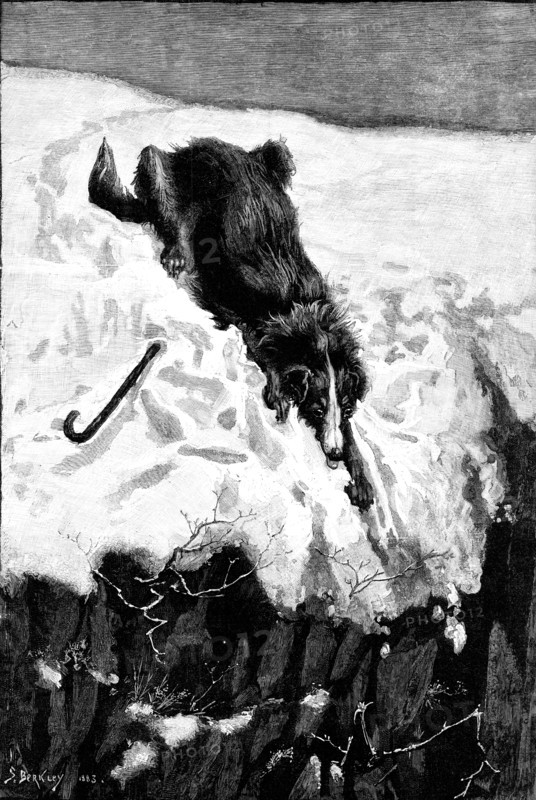 Lost!, drawn by S. Berkley, 1883. Creator: Eugène Froment.