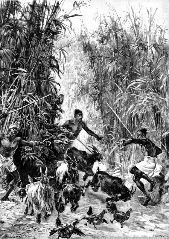Mr. H. M. Stanley’s Emin Pasha Relief Expedition - foraging for supplies for the Yahbuya Camp, 1890. Creator: H. Werdmüller.