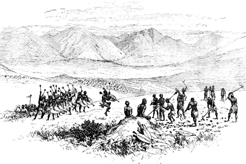 Sketches from Swaziland: hoeing the King’s Fields, 1890. Creator: Unknown.