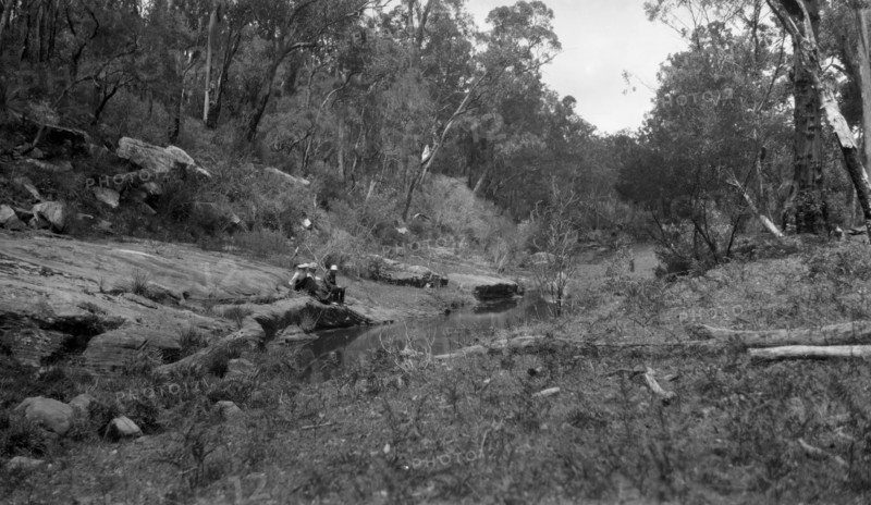 Australian bush scene, c1900s. Creator: Robert Augustus Henry L'Estrange.