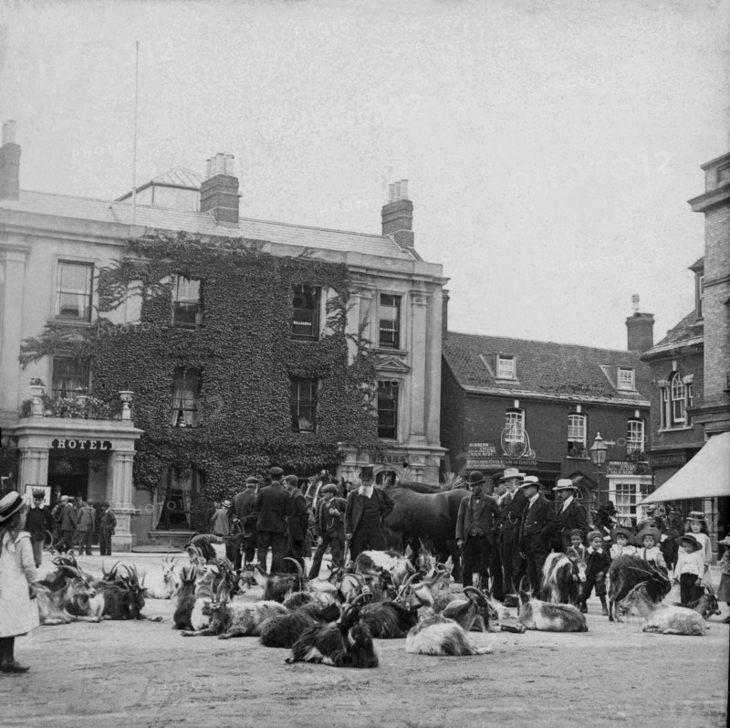 Goat market, possibly Ireland, 1895. Creator: Robert Augustus Henry L'Estrange.