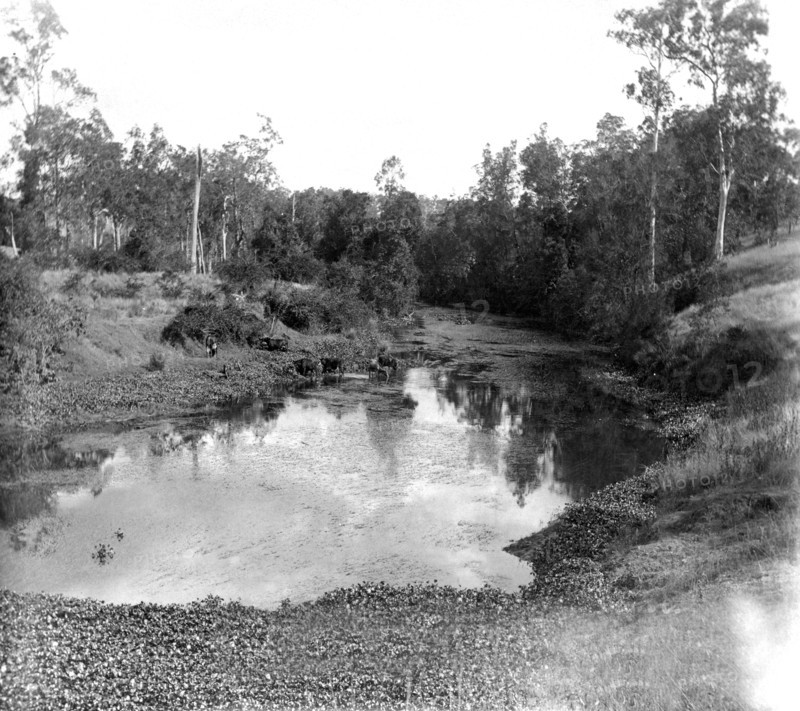 Moggill Creek near Brisbane, 1905. Creator: Ernest Melville.