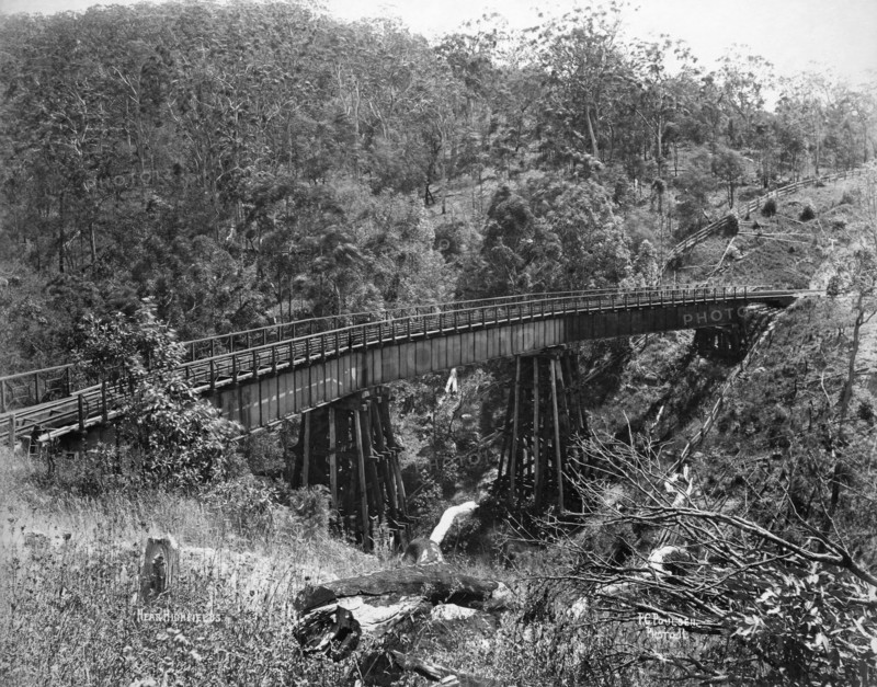 Toowoomba Range near Highfields, c1894. Creator: Poul C Poulsen.