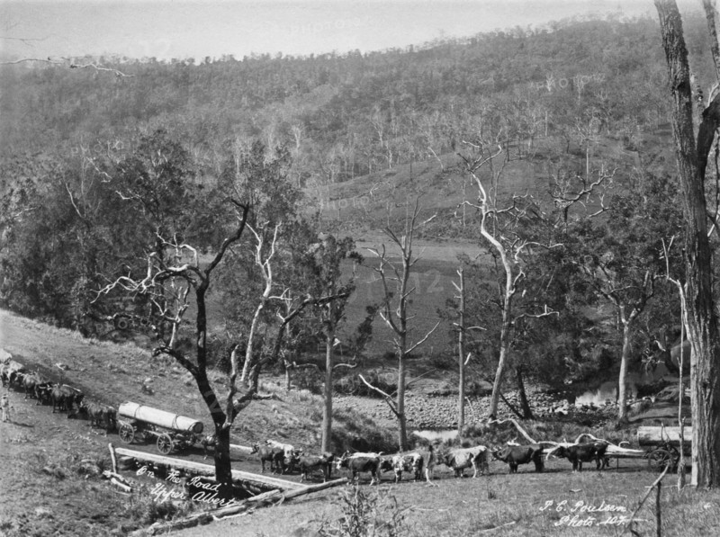 Upper Albert On the road, 1894. Creator: Poul C Poulsen.