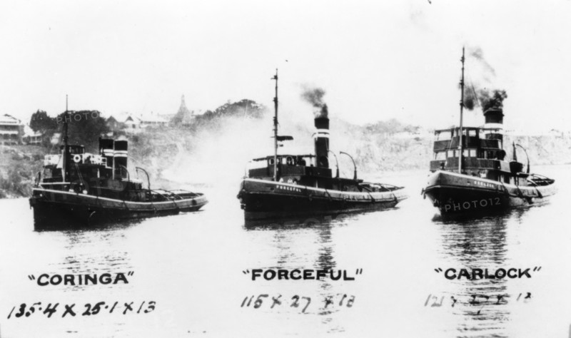 Tugboats: "Coringa", "Forceful", "Carlock", c1910s. Creator: Unknown.