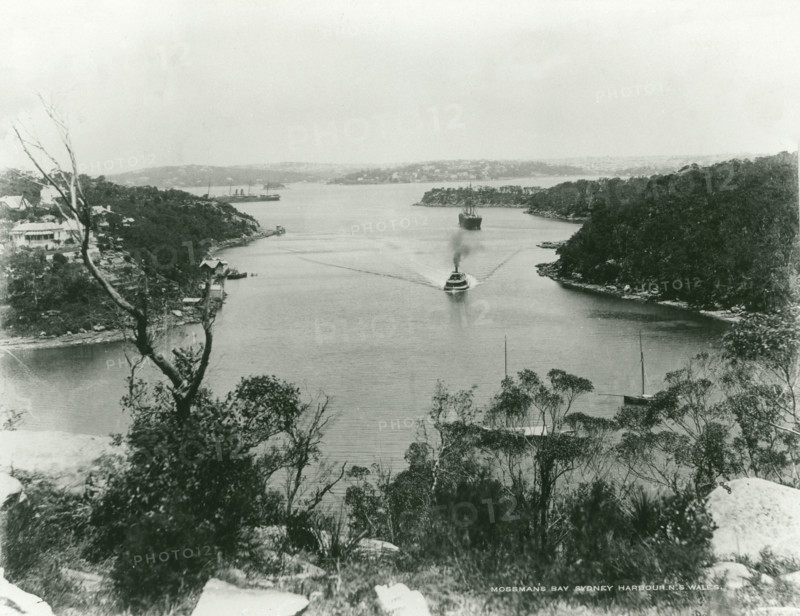 Mosman Bay, looking south. Creator: Unknown.