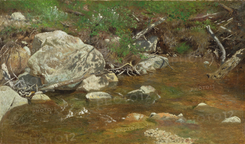 Mountain Brook: A Study, between c1863 and 1869. Creator: Alexander Helwig Wyant.