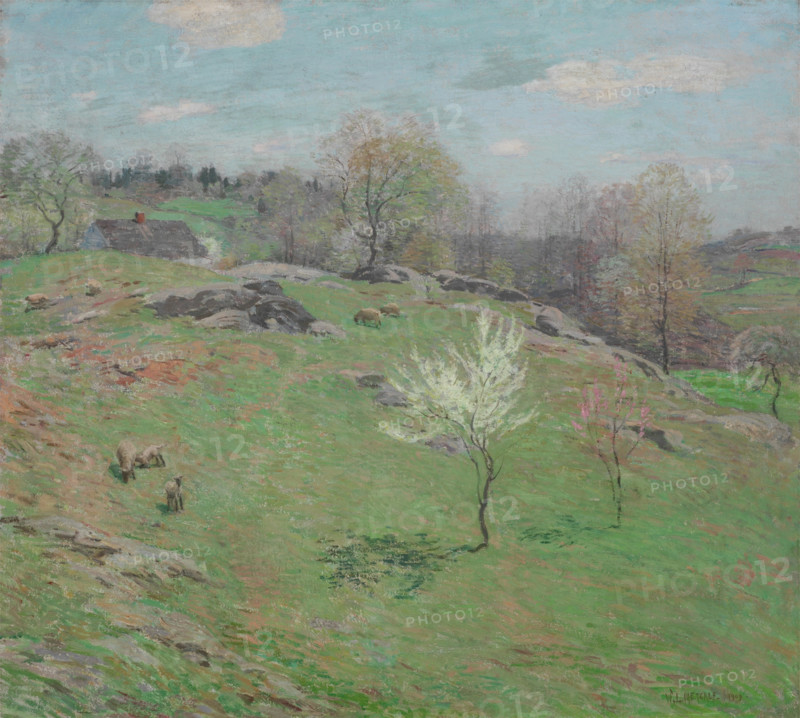Unfolding Buds, 1909. Creator: Willard Leroy Metcalf.