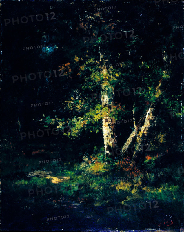 Forest Scene, c1830-1870. Creator: Narcisse Virgile Diaz de la Pena.