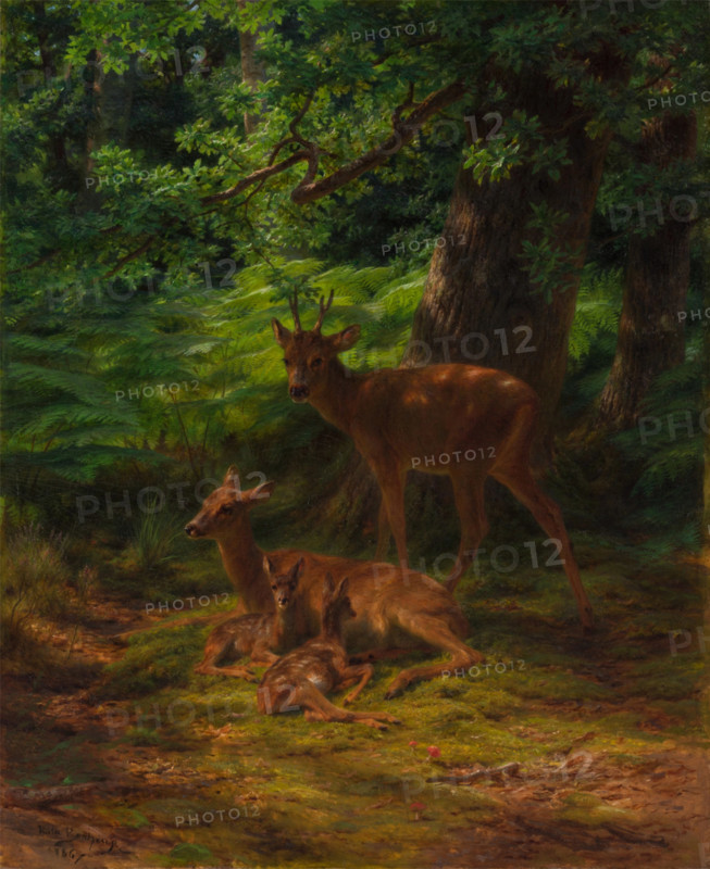 Deer in Repose, 1867. Creator: Rosa Bonheur.